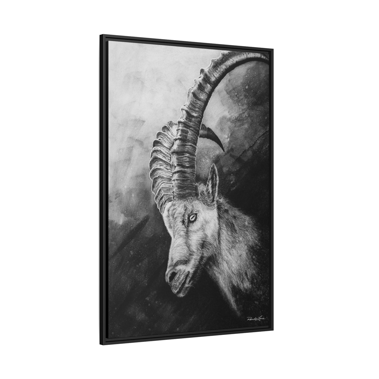 Apex,  Alpine Mountain Goat, Framed Matte Canvas Art Print,