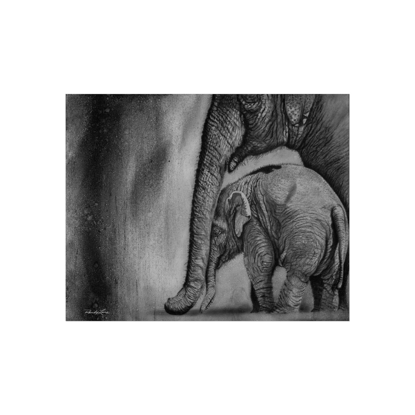 Trunks of Love,  Elephant Fine Art Print