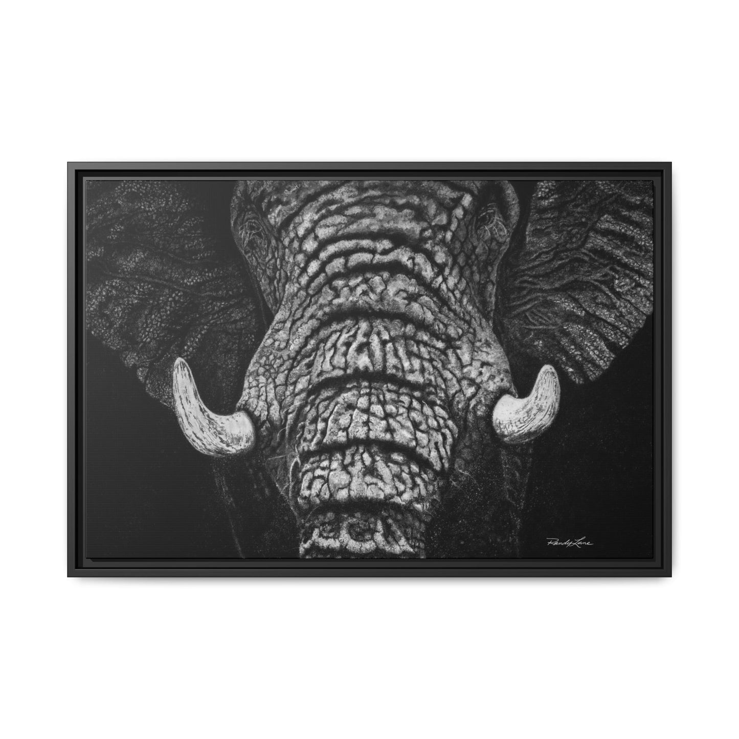 Ebony and Ivory, Elephant Portrait Framed Canvas Wall Art