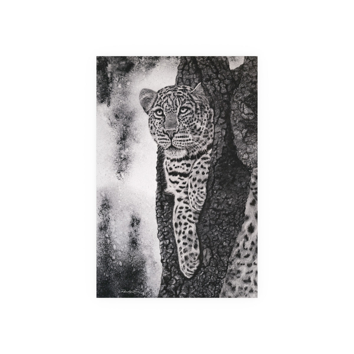 Tree Hugger, Leopard Fine Art Print, Satin/Matte Print