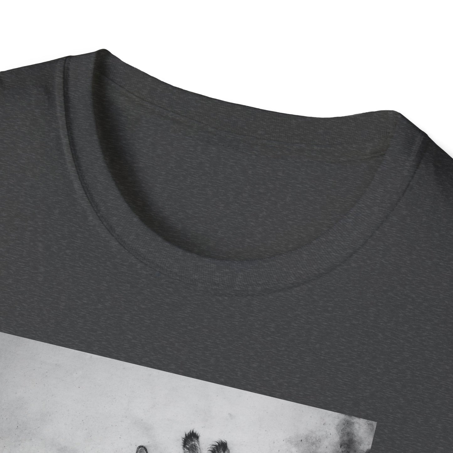 Grace in the Grassland, Giraffe Unisex Softstyle T-Shirt