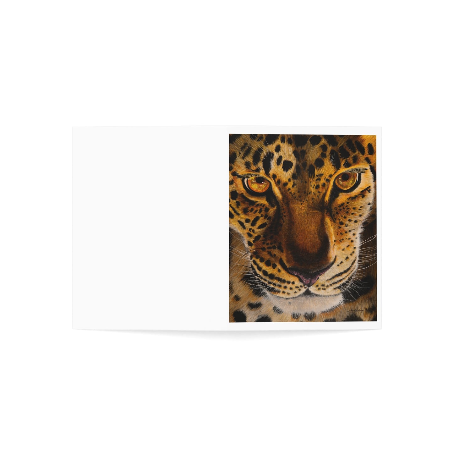 Windows to the Soul, Leopard Greeting Cards Set, Pack of 1, 10, 30, 50pcs