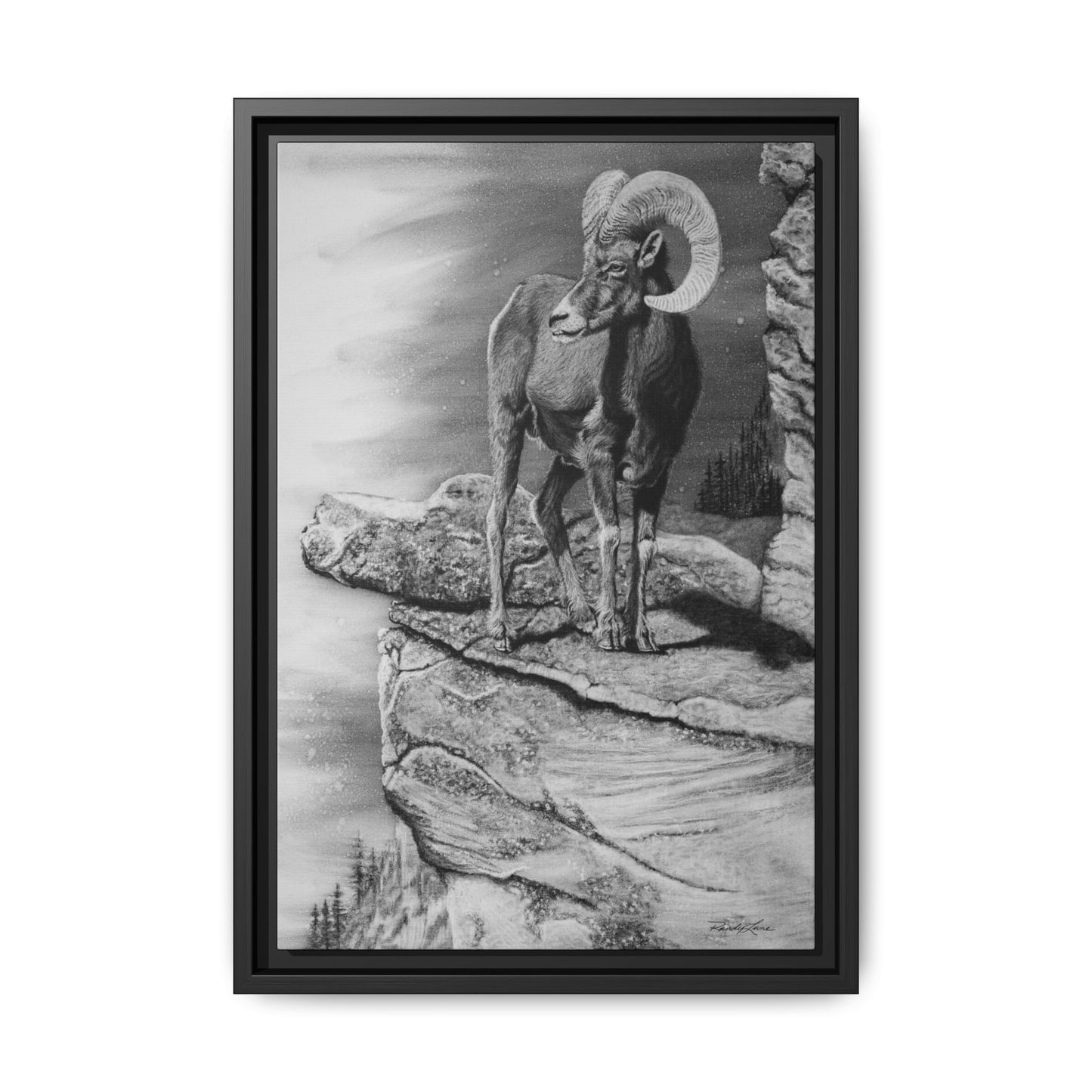 Legendary, Bighorn Sheep Framed Matte Stretched Canvas