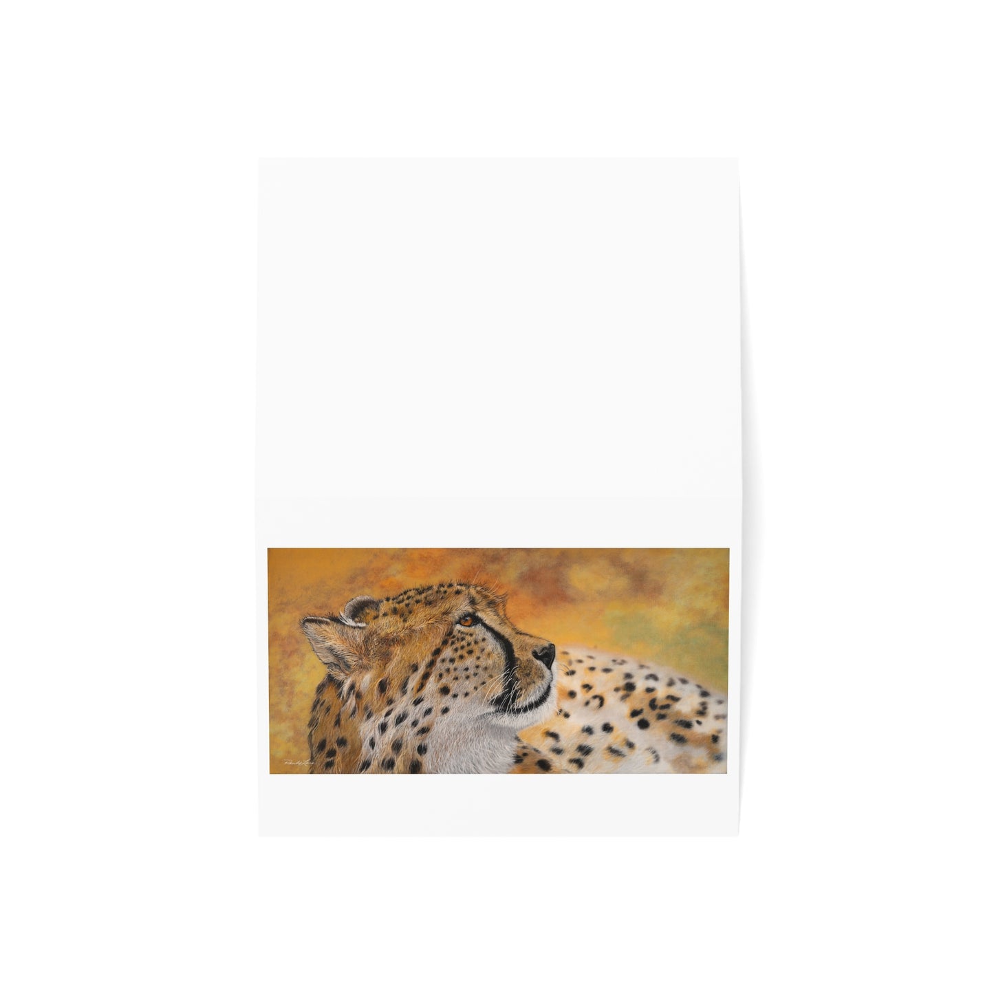 Cheetah Chill, Cheetah Greeting Cards - Set of 1, 10, 30, 50pcs