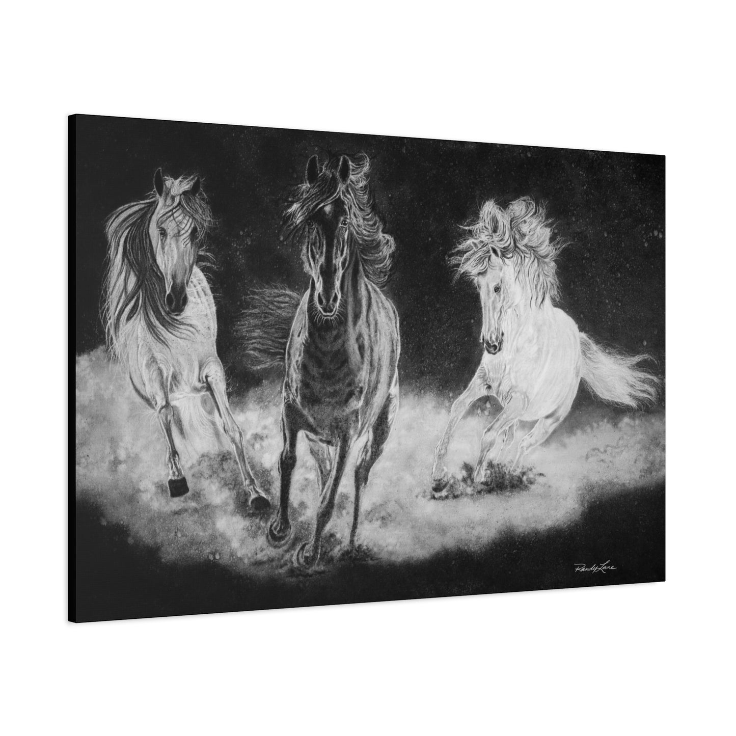 Midnight Run. Stretched Matte Canvas Fine Art Horse Prints