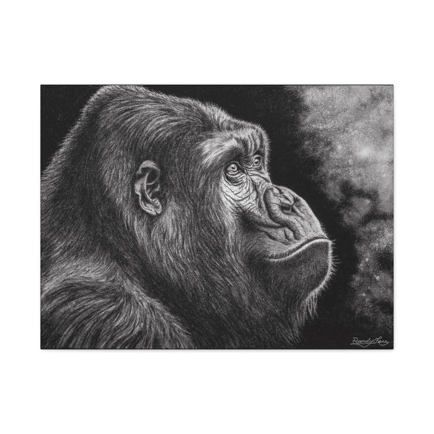 Gorilla, Artistic Gorilla Stretched Canvas Wall Art