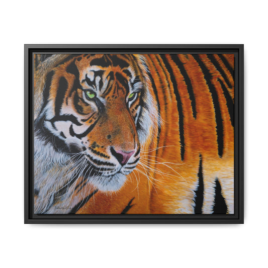 Tiger Stripe, Framed Tiger Canvas Print
