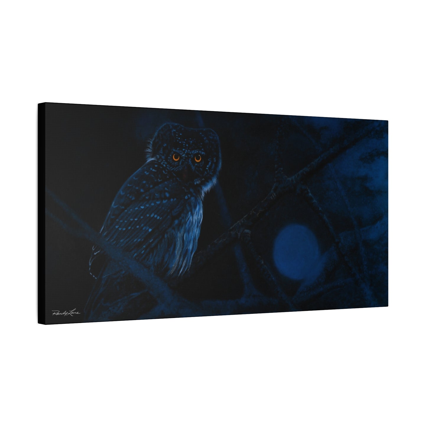 Bright Eyes, Owl Stretched Canvas Print