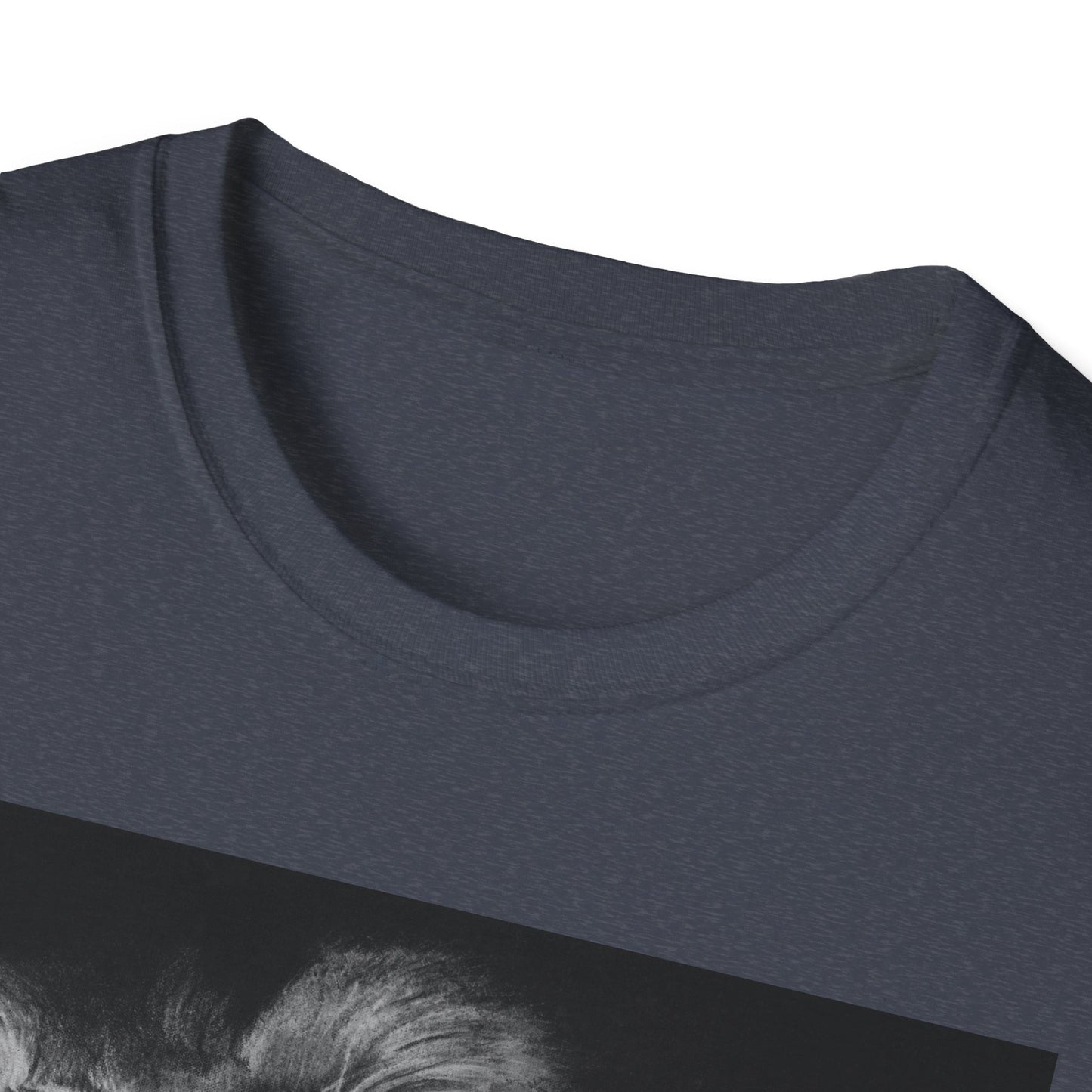 Renown, Lion Graphic T-Shirt, Unisex Lion Tee