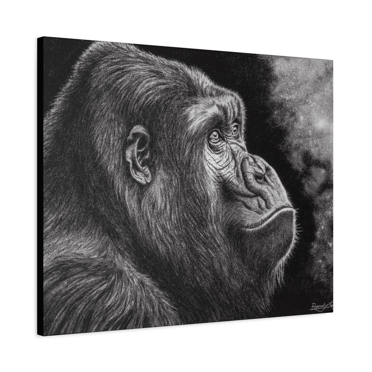 Gorilla, Matte Canvas, Stretched, 1.25"