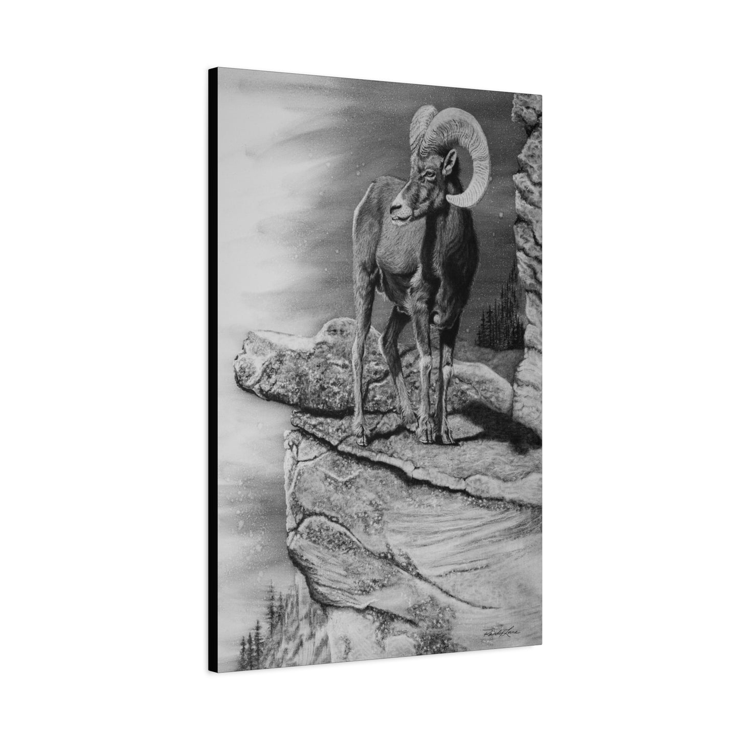 Legendary, Bighorn Sheep Stretched Canvas Wall Art