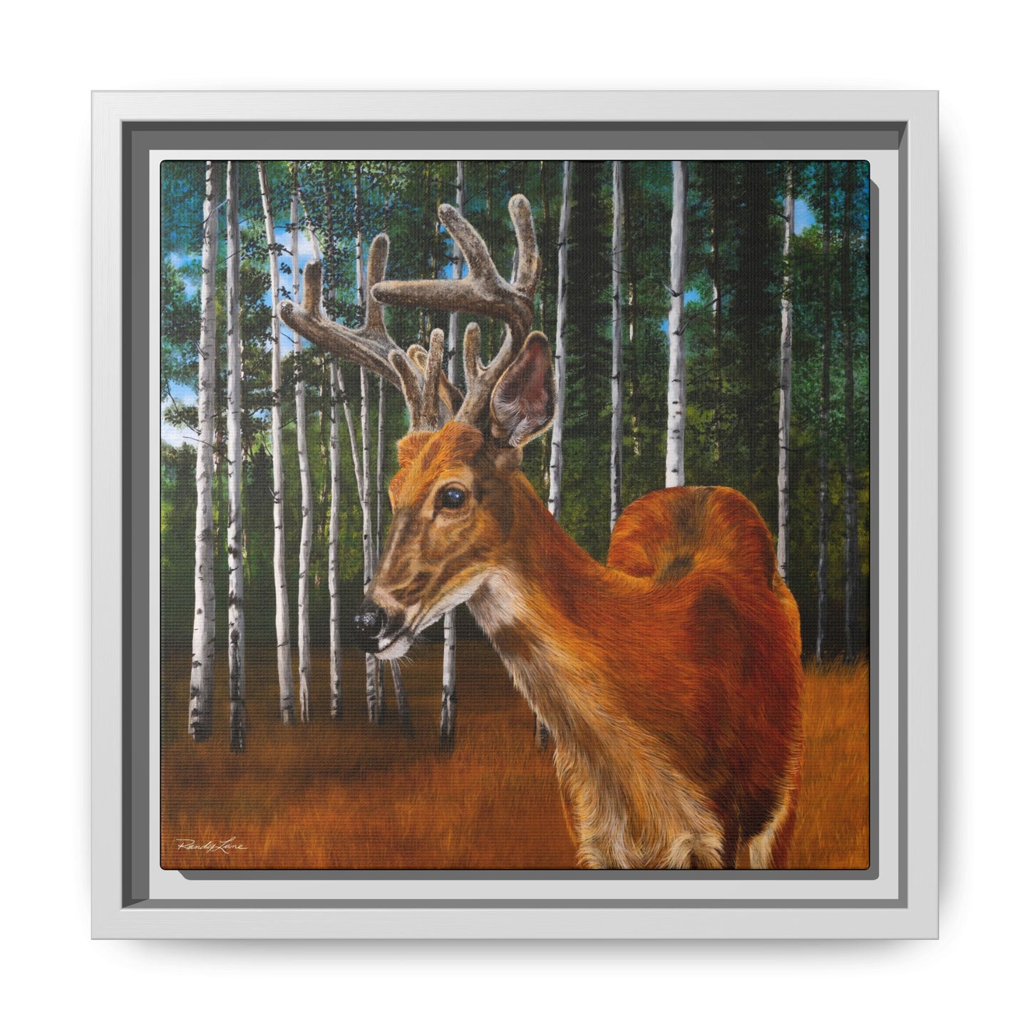 Velvet Crush, Framed Deer Canvas Art