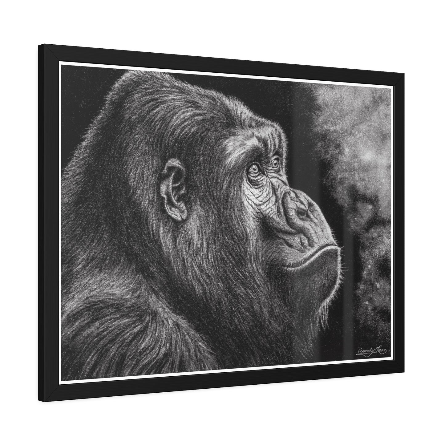 Gorilla, Framed Fine Art Print