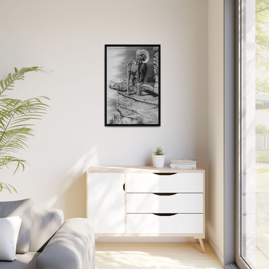 Legendary, Bighorn Sheep Framed Matte Stretched Canvas