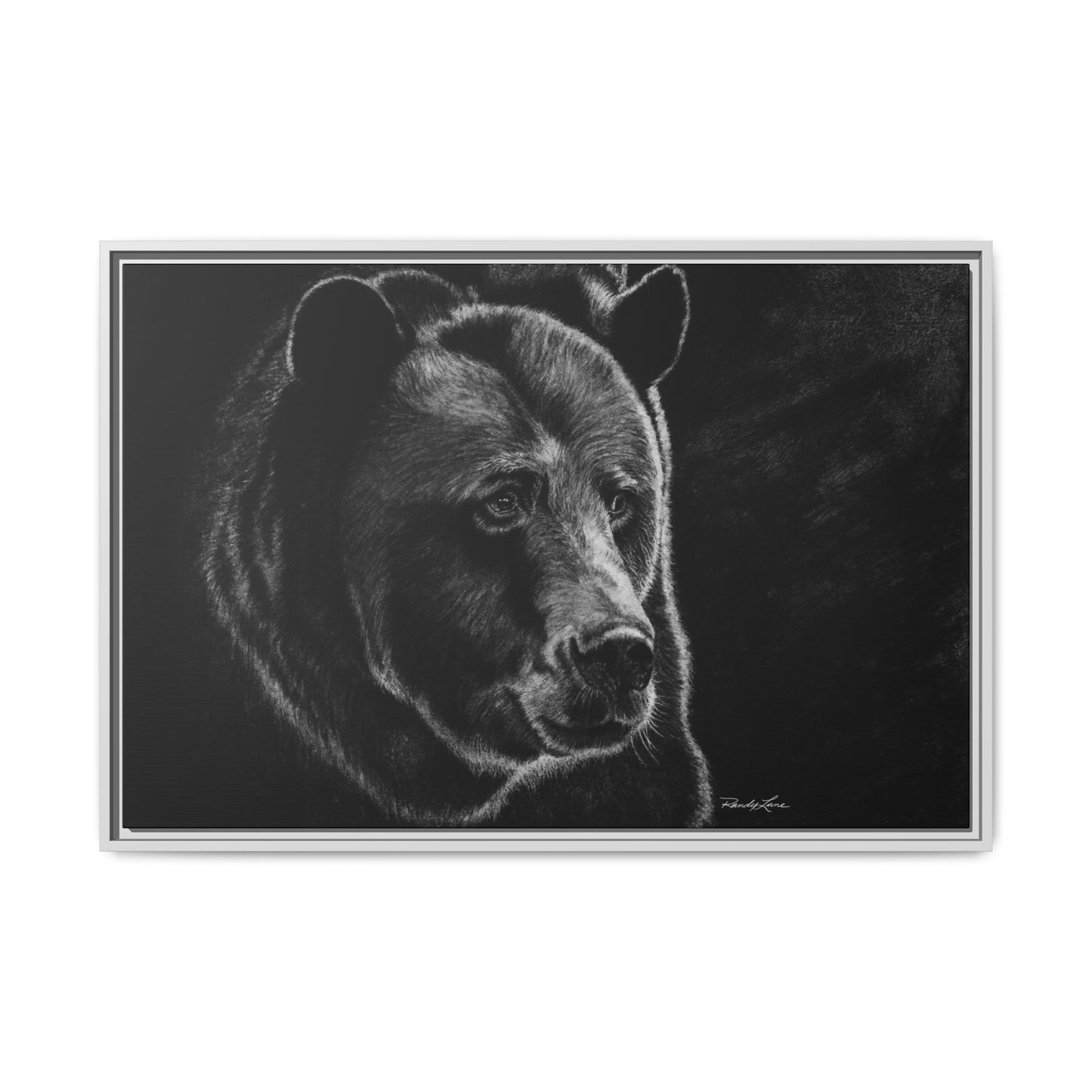 Dominance, Bear Portrait Stretched Framed Matte Canvas Print
