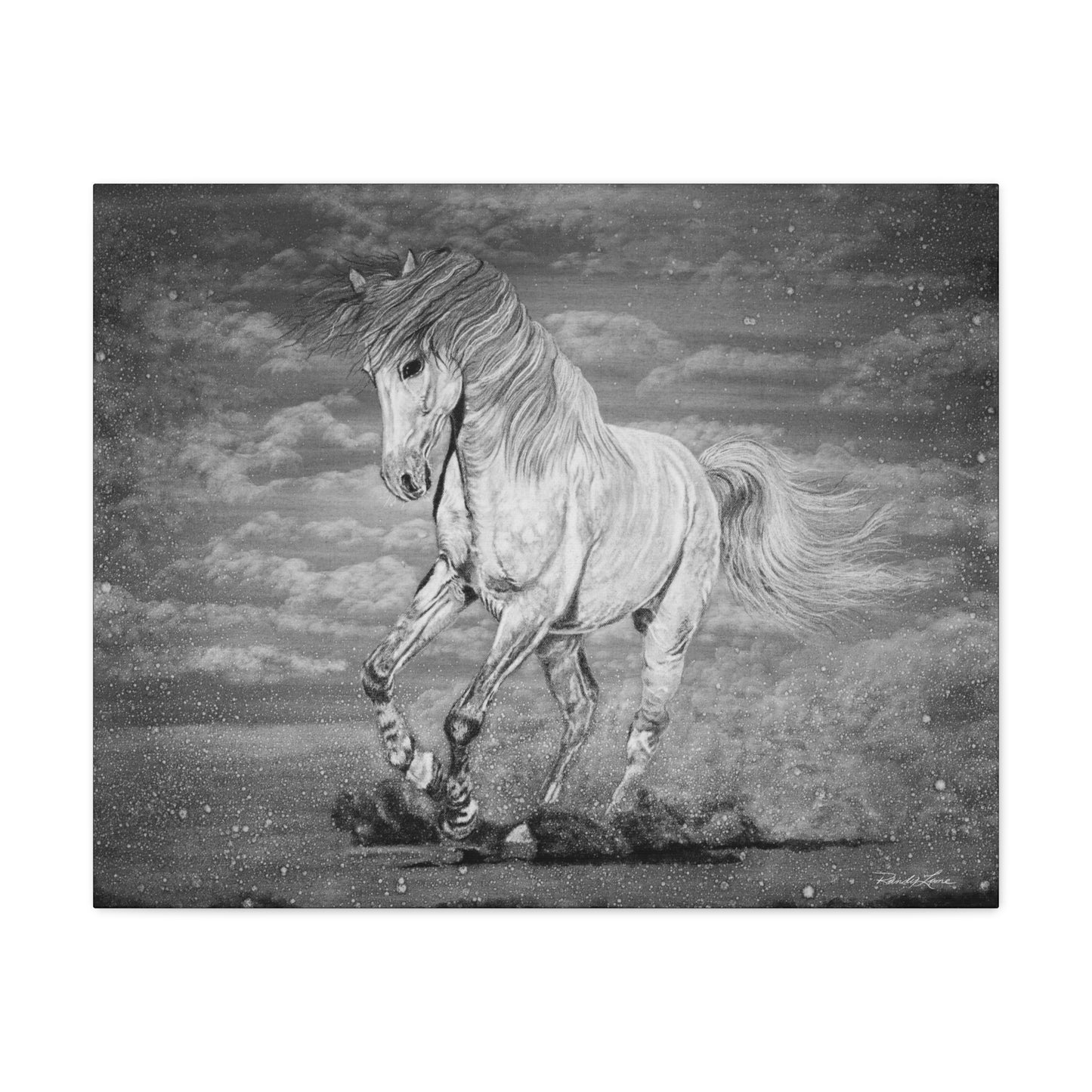 Equine Elegance. Prancing Horse Stretched Matte Canvas Print