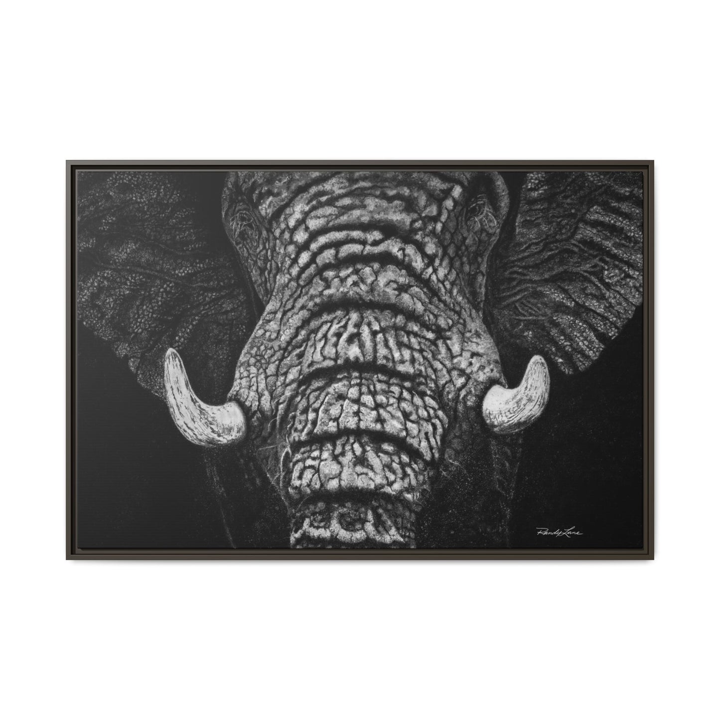 Ebony and Ivory, Elephant Portrait Framed Canvas Wall Art