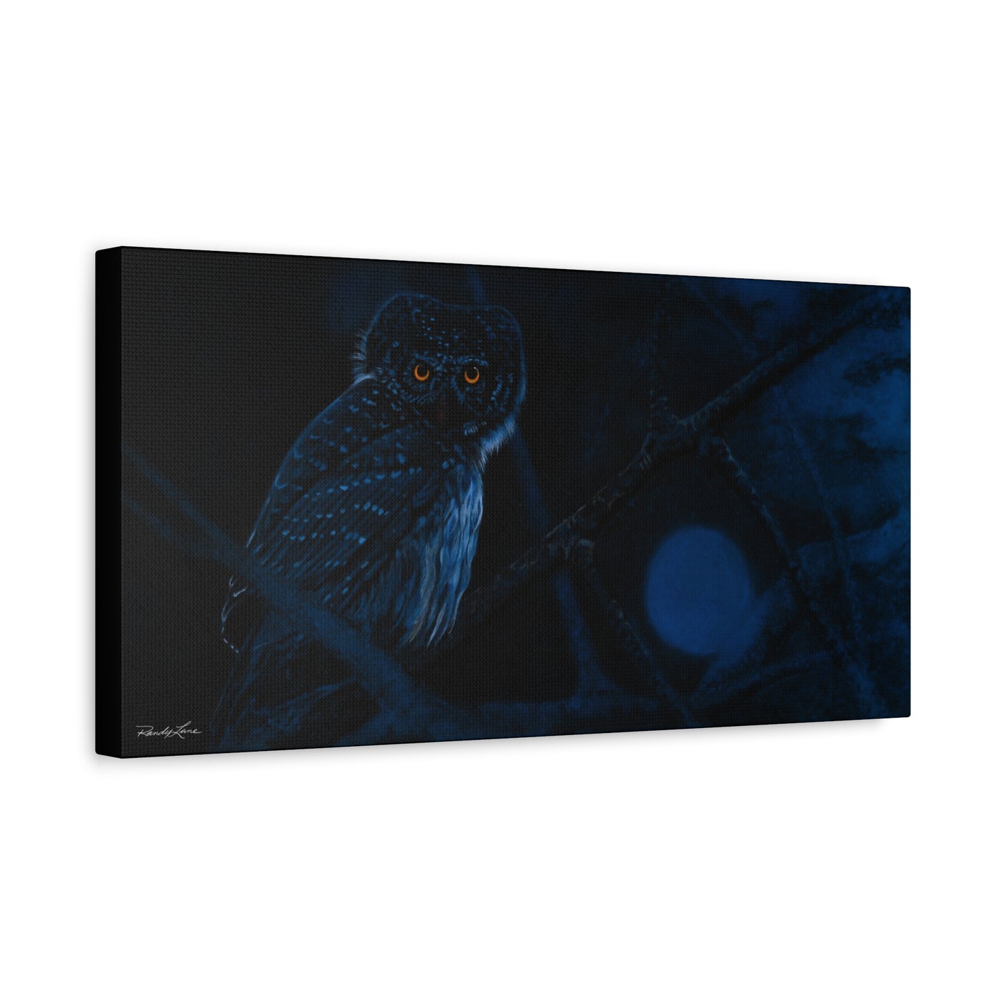 Bright Eyes, Owl Stretched Canvas Print