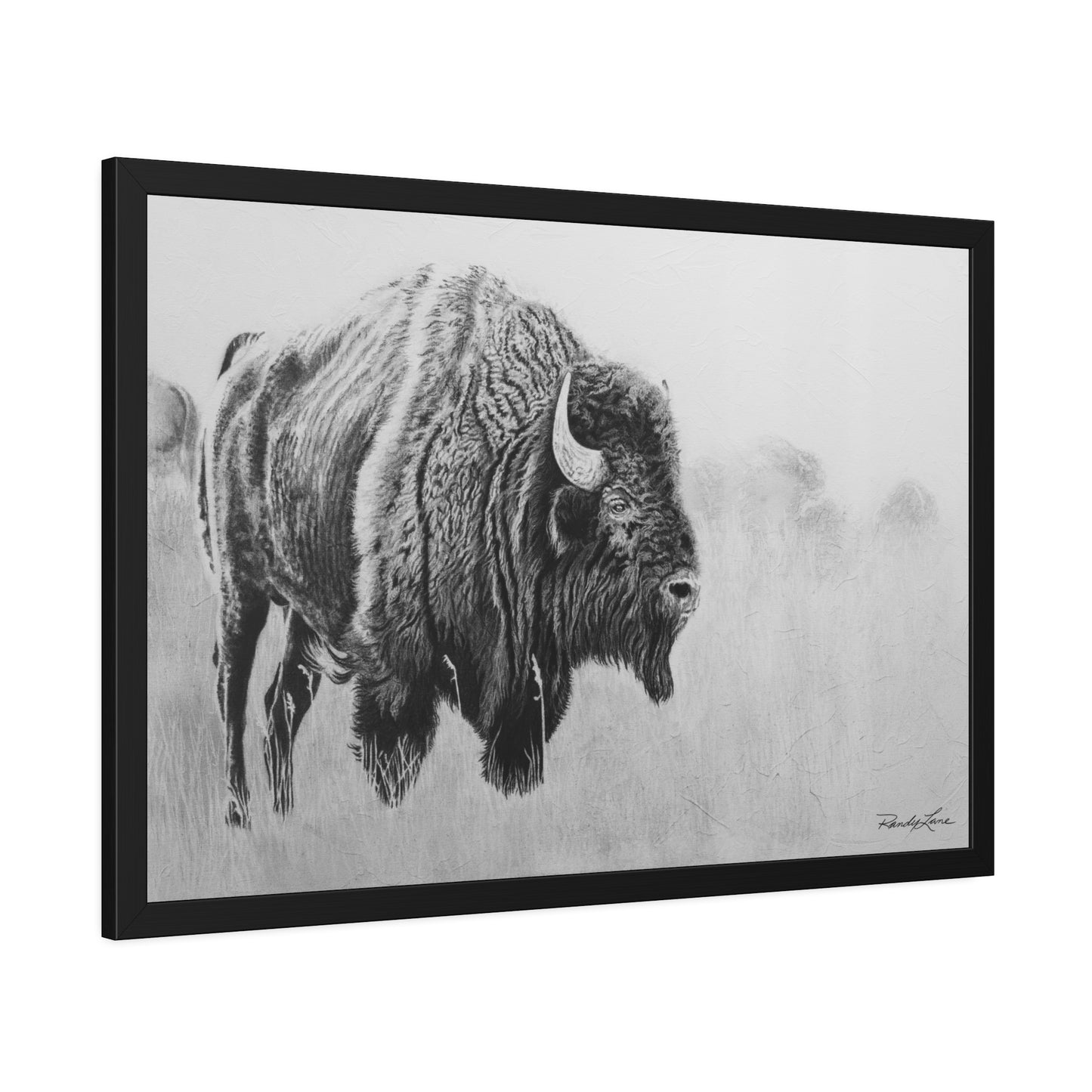 Prairie Bison, Bison Charcoal Art Framed Print