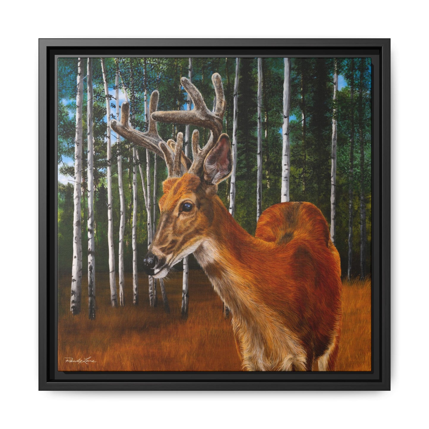 Velvet Crush, Framed Deer Canvas Art
