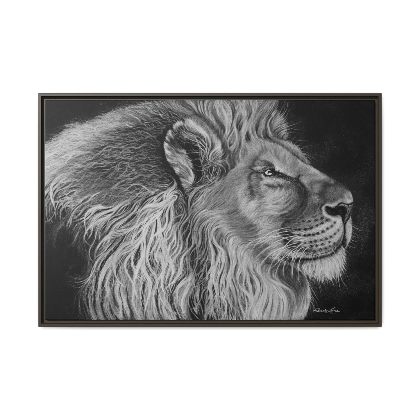 King of Cool, Majestic Lion Framed Canvas Art