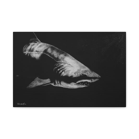 Below, Shark Fine Art Canvas Print