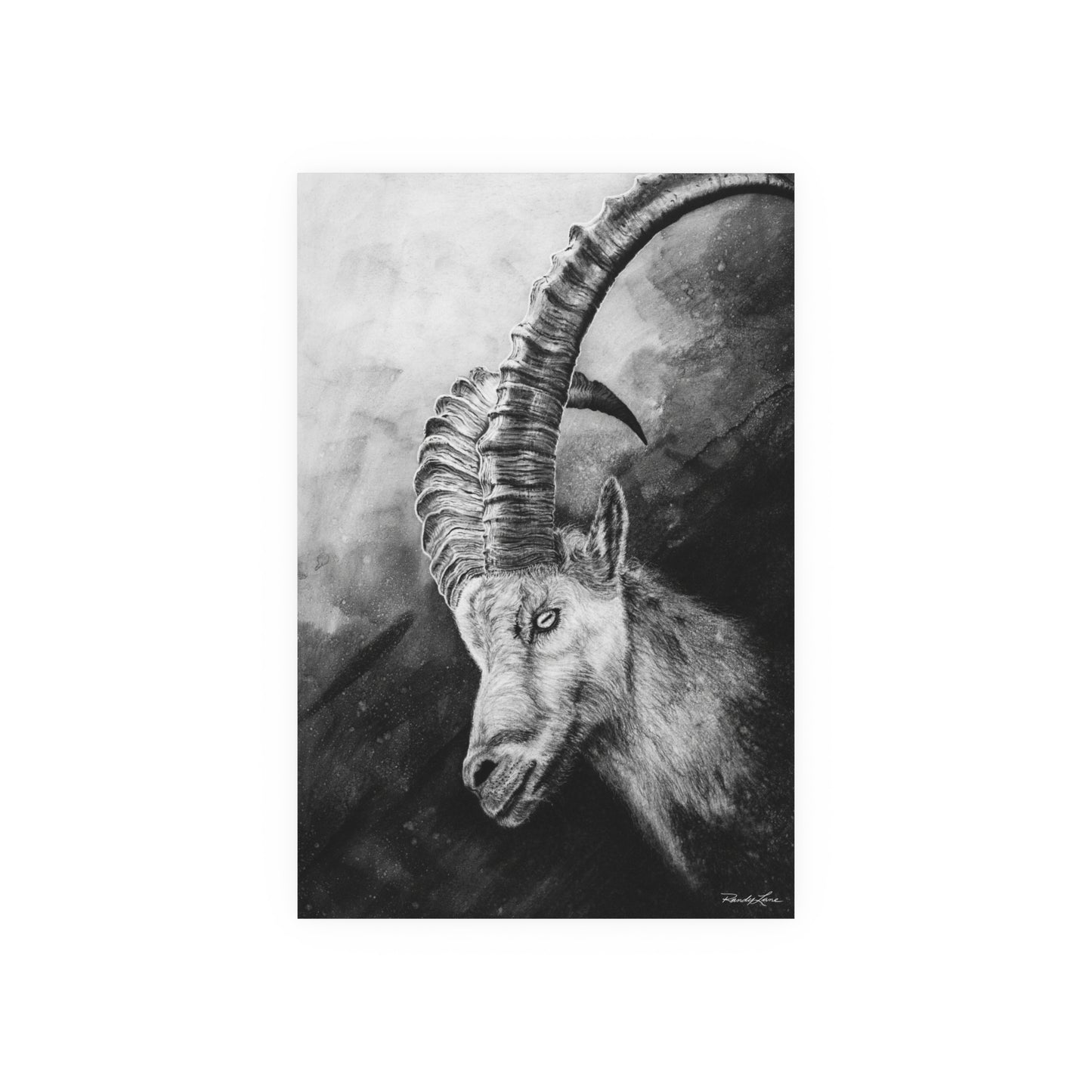 Apex, Alpine Ibex Archival Matte Fine Art Print