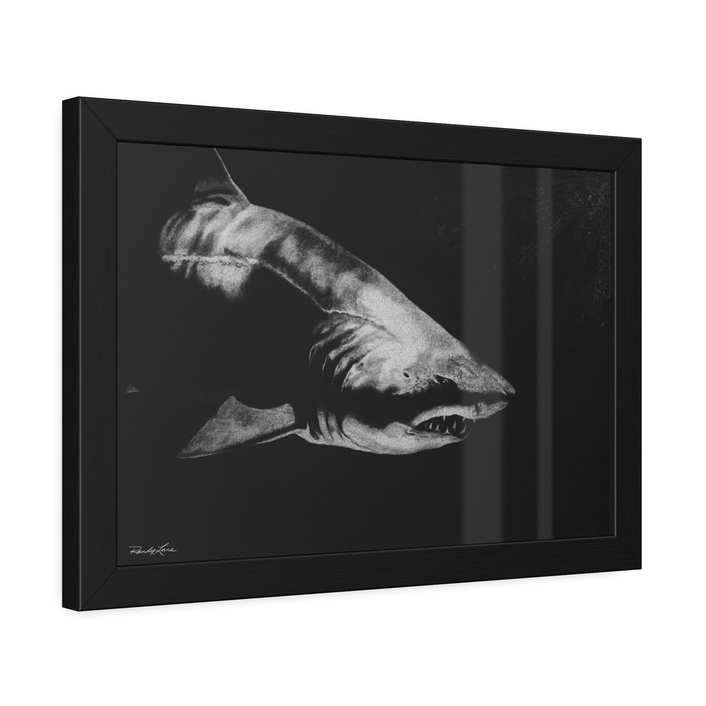 Below, Shark Framed Fine Art Print