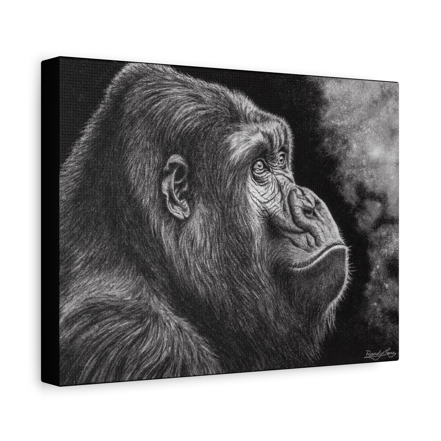 Gorilla, Artistic Gorilla Stretched Canvas Wall Art