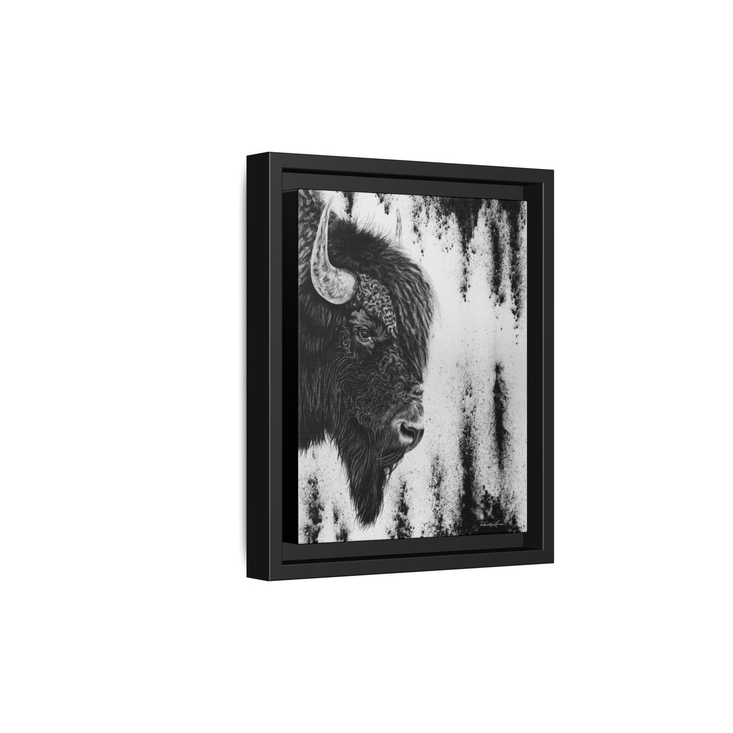 Pride, Framed Bison Canvas Art