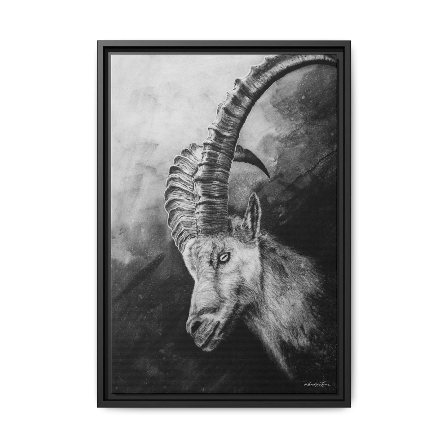 Apex,  Alpine Mountain Goat, Framed Matte Canvas Art Print,