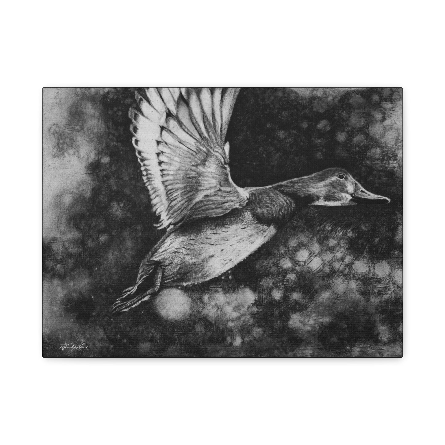 Flare, Elegant Duck Wall Art, Matte Stretched Canvas
