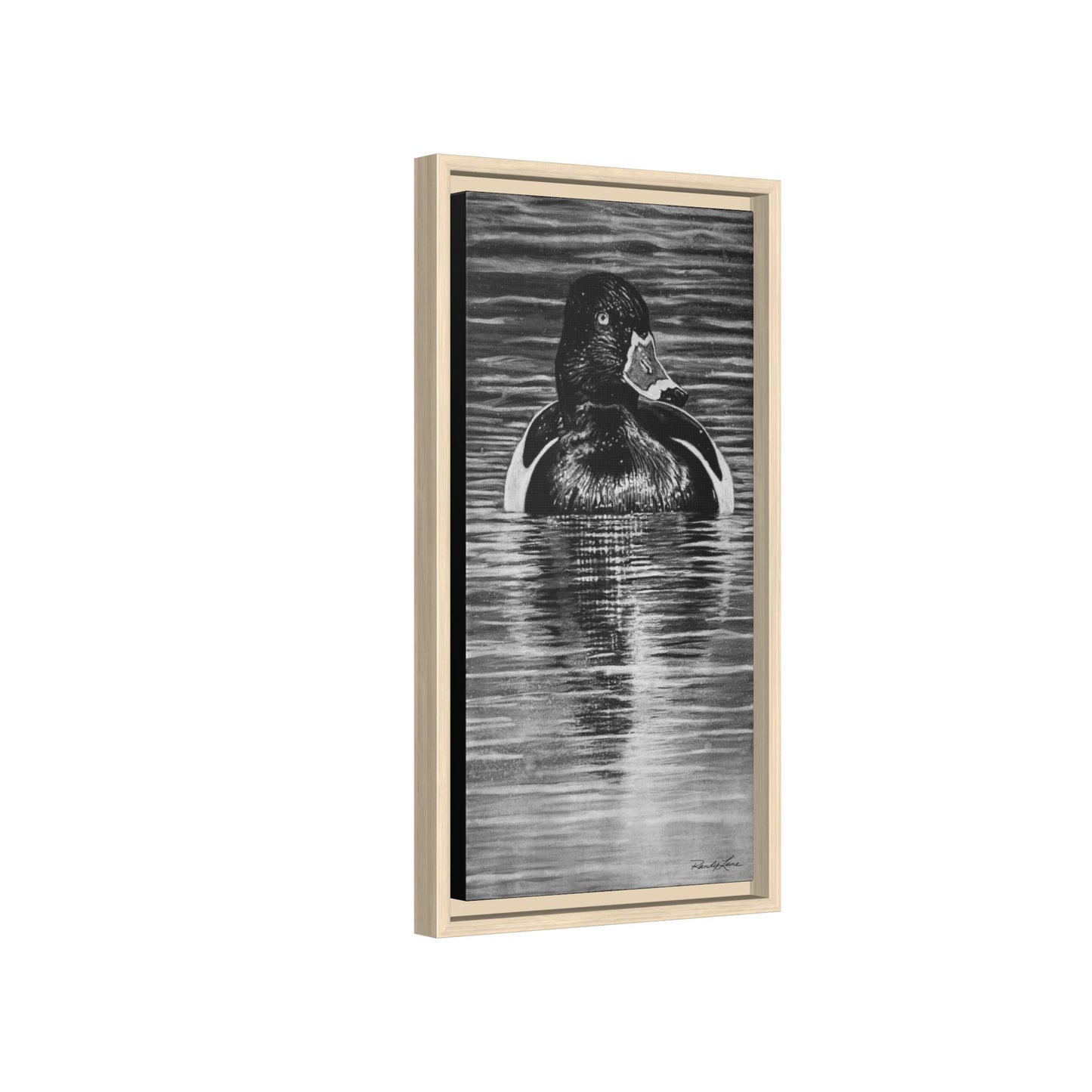 Reflection, Ring necked Duck Painting, Framed Stretched Matte Canvas