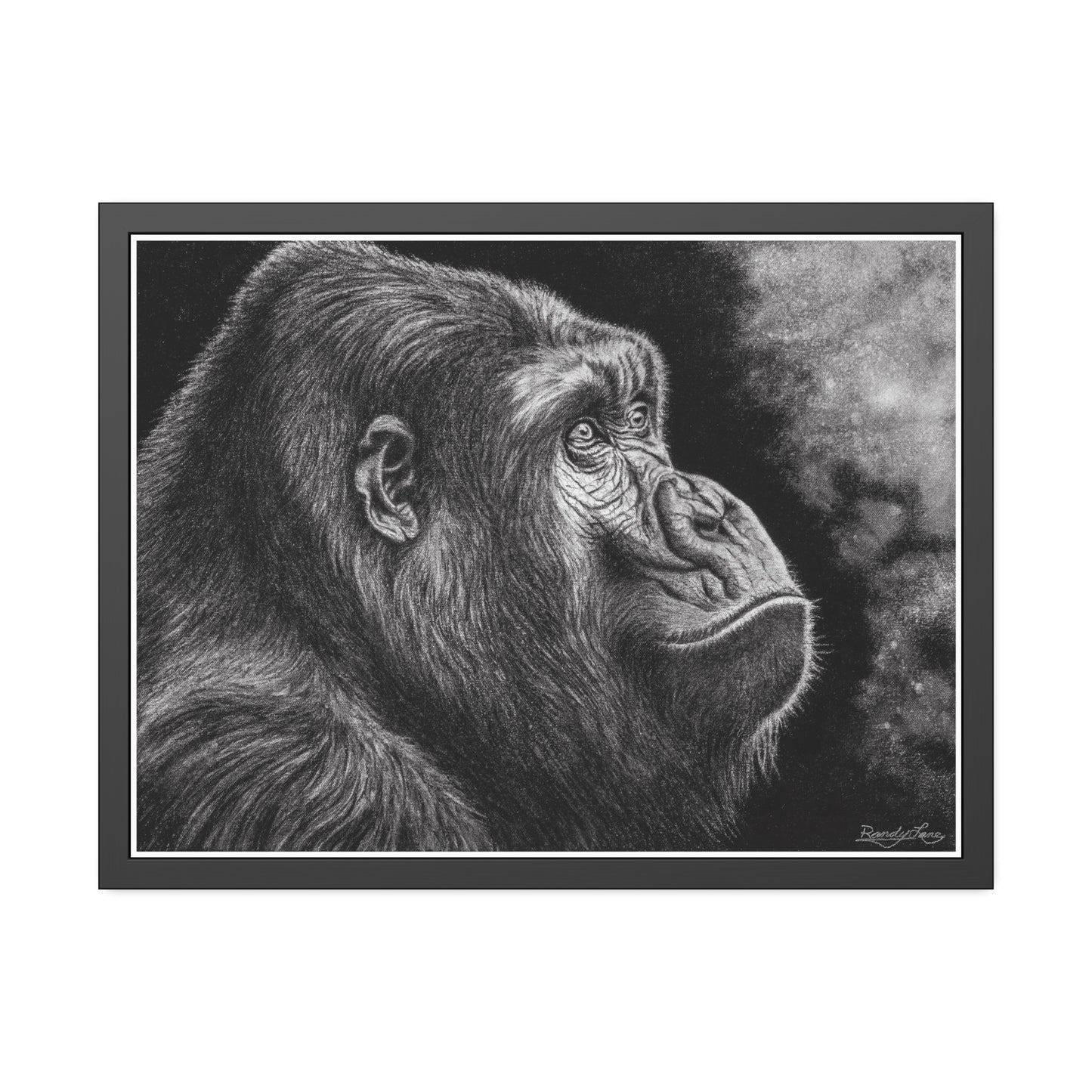 Gorilla, Framed Fine Art Print