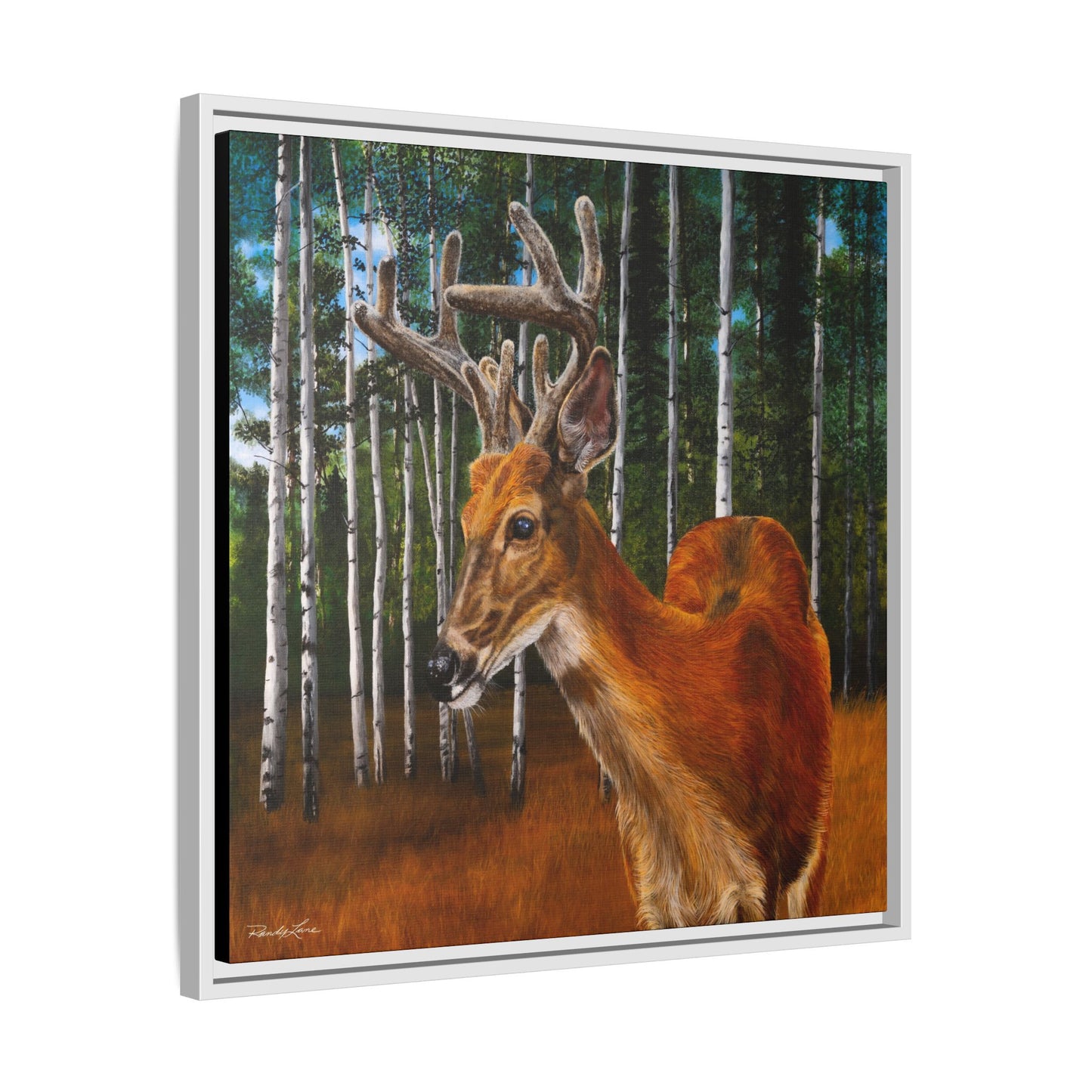 Velvet Crush, Framed Deer Canvas Art