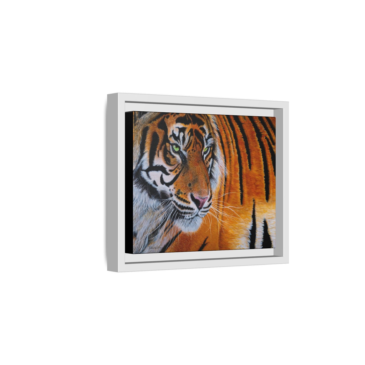 Tiger Stripe, Framed Tiger Canvas Print