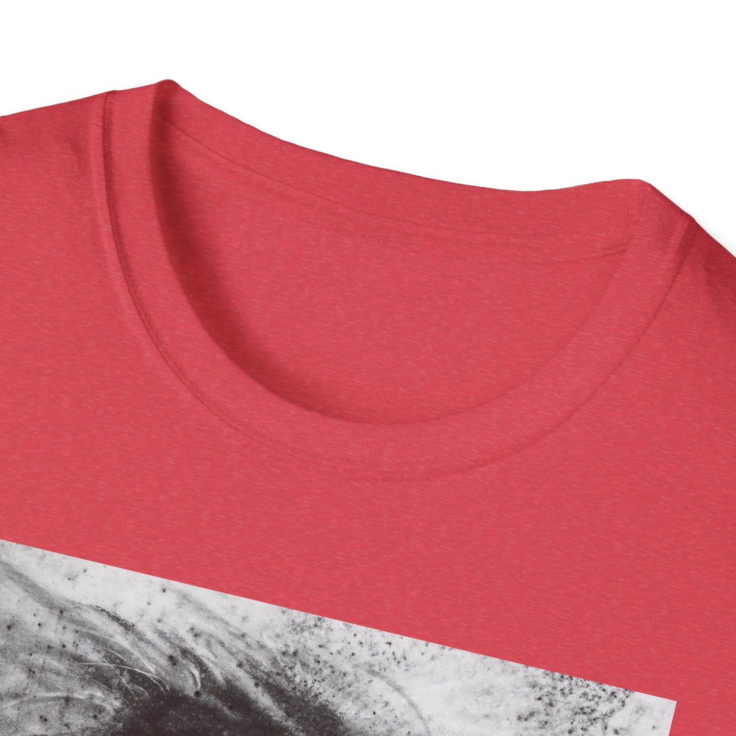 Let the Lion Roar, Lion Graphic Tee, Unisex T-Shirt