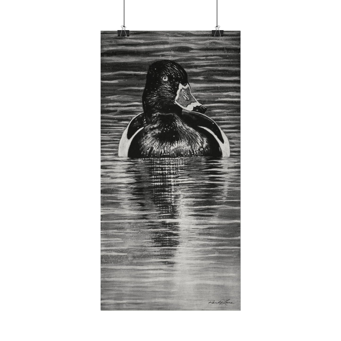 Reflection, Ring necked Duck Painting, Textured Matte Print