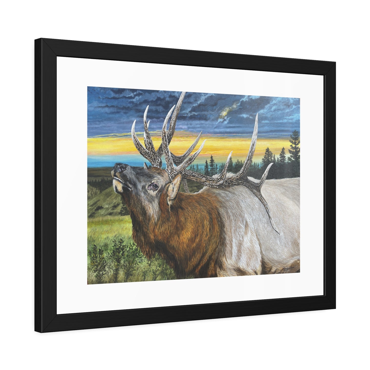 Sunset Serenade, Elk Framed Fine Art Print
