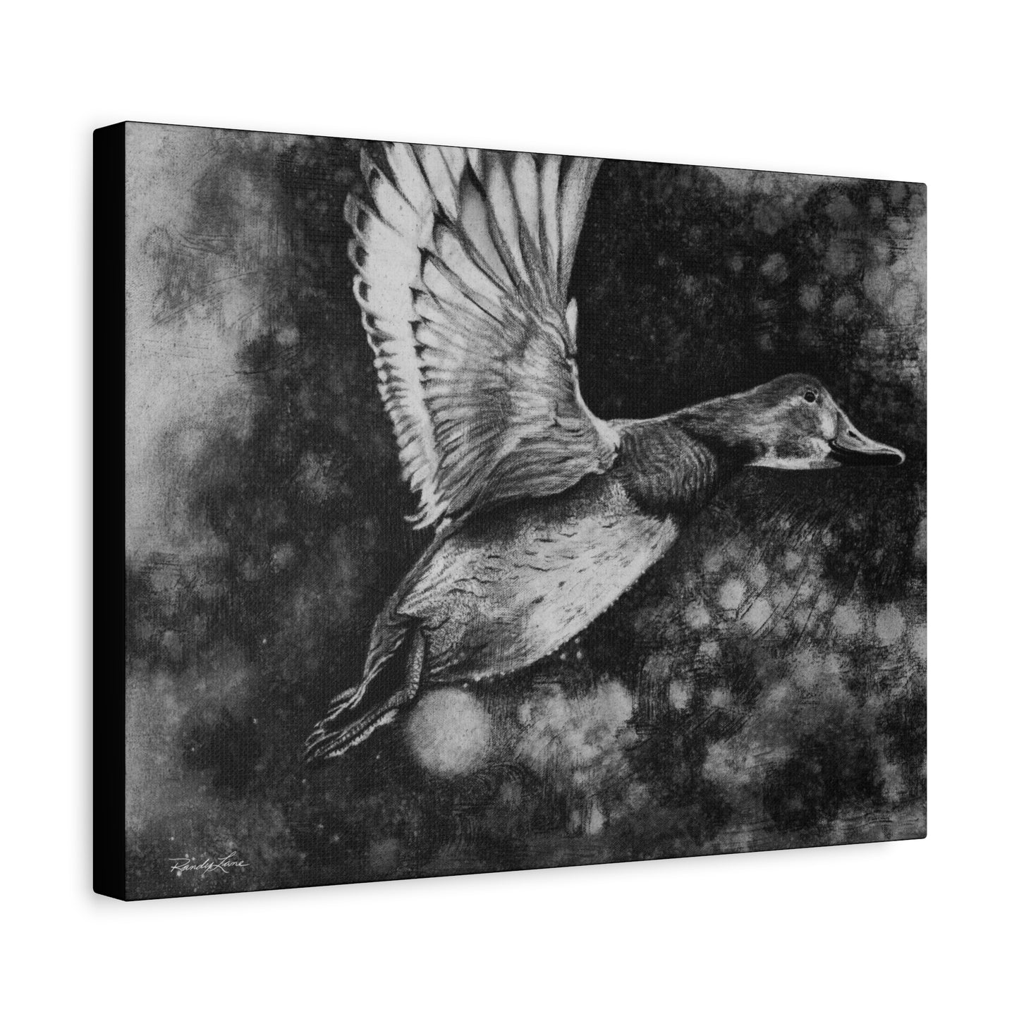 Flare, Elegant Duck Wall Art, Matte Stretched Canvas