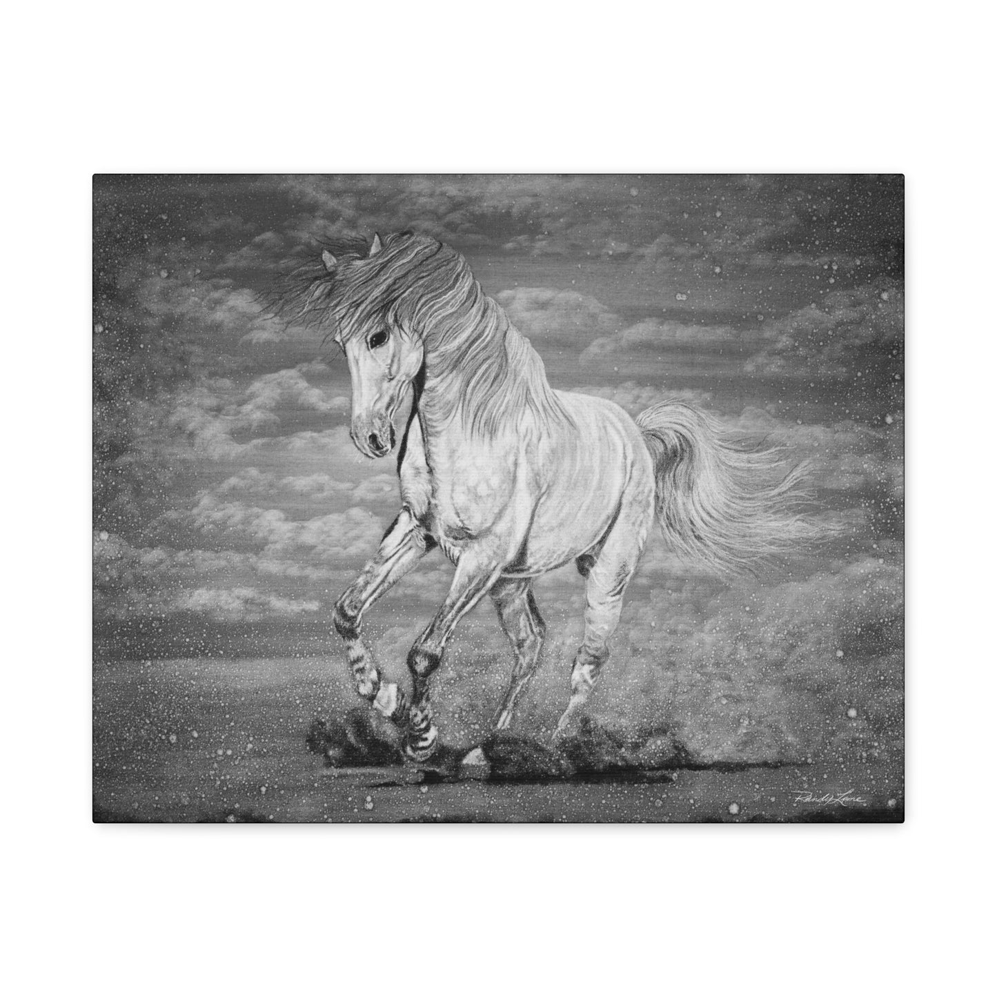 Equine Elegance. Prancing Horse Stretched Matte Canvas Print