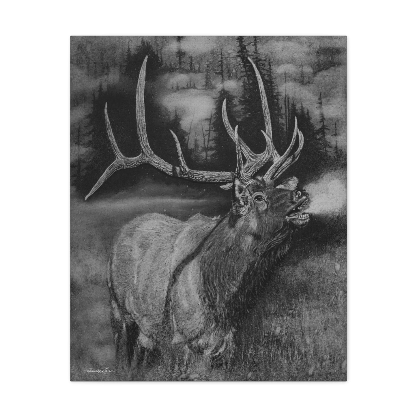 Mountain Music,  Elk Canvas Print