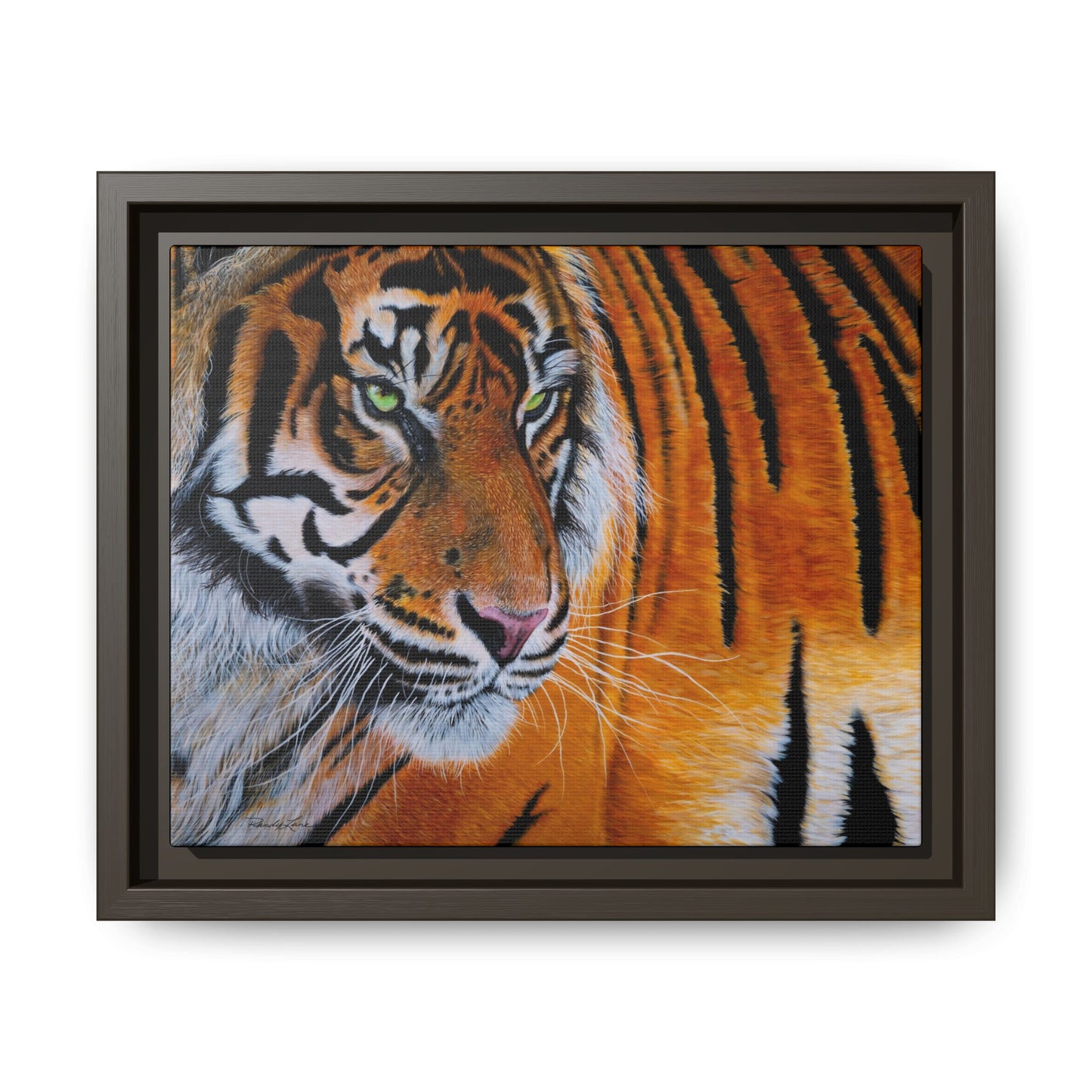 Tiger Stripe, Framed Tiger Canvas Print