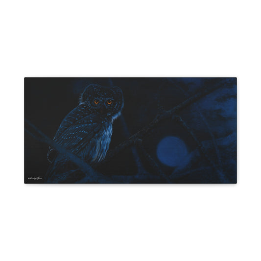 Bright Eyes, Owl Stretched Canvas Print