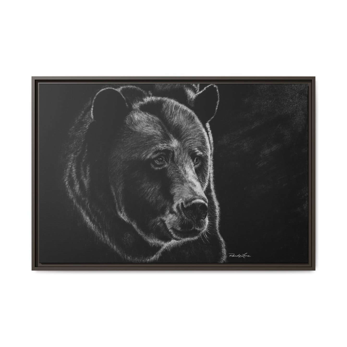 Dominance, Bear Portrait Stretched Framed Matte Canvas Print