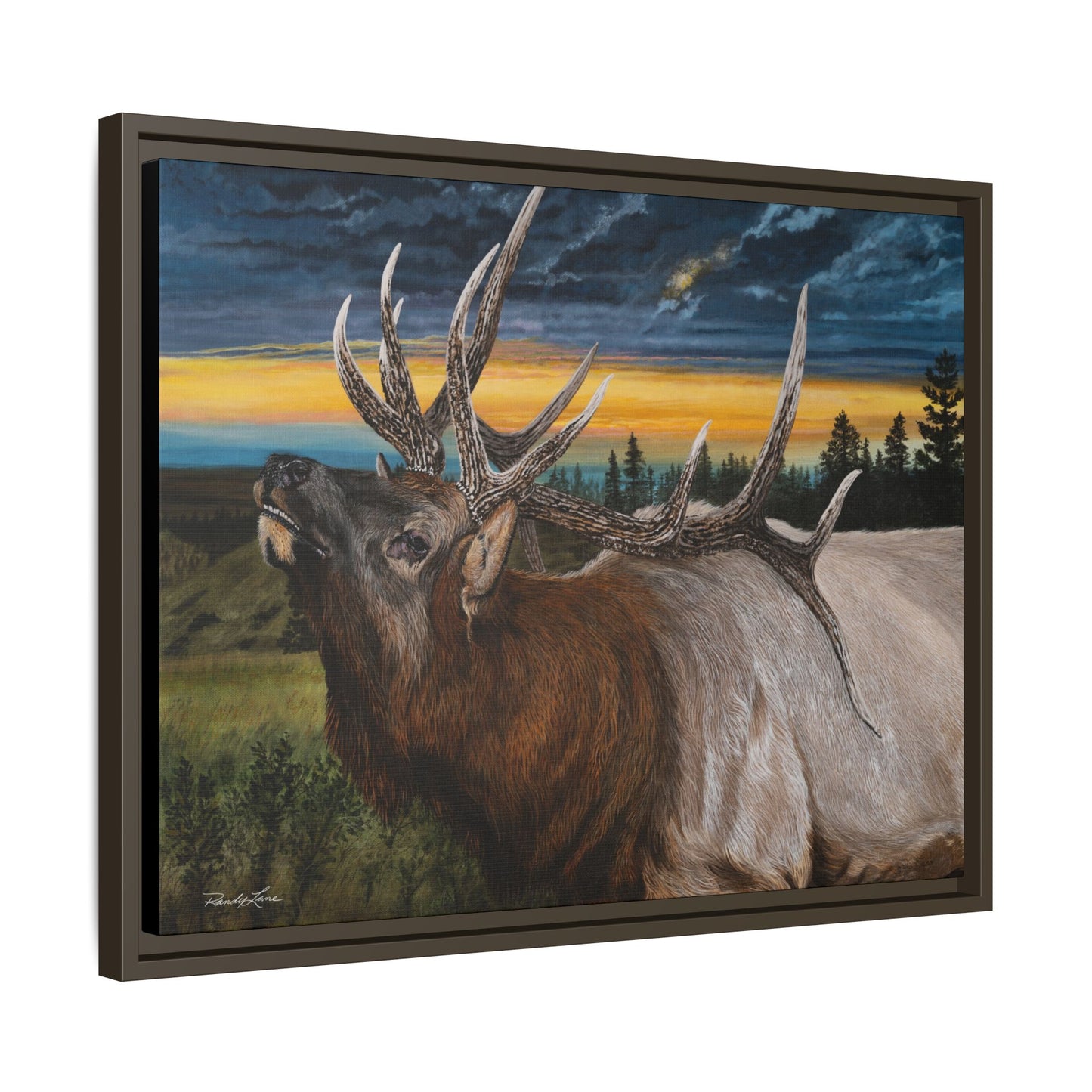 Sunset Serenade,  Elk Framed Matte Canvas Print