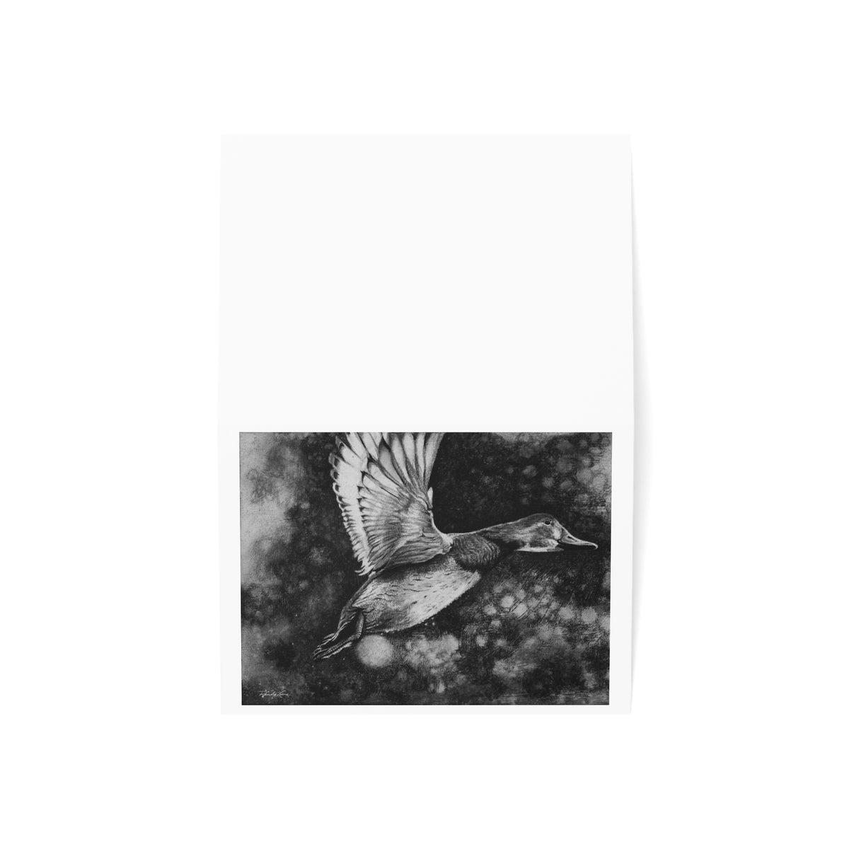 Flare, Duck in flight Greeting Cards | Perfect for Any Occasion, Unique Art for Friends, Wildlife Lovers, Sentimental Gifts