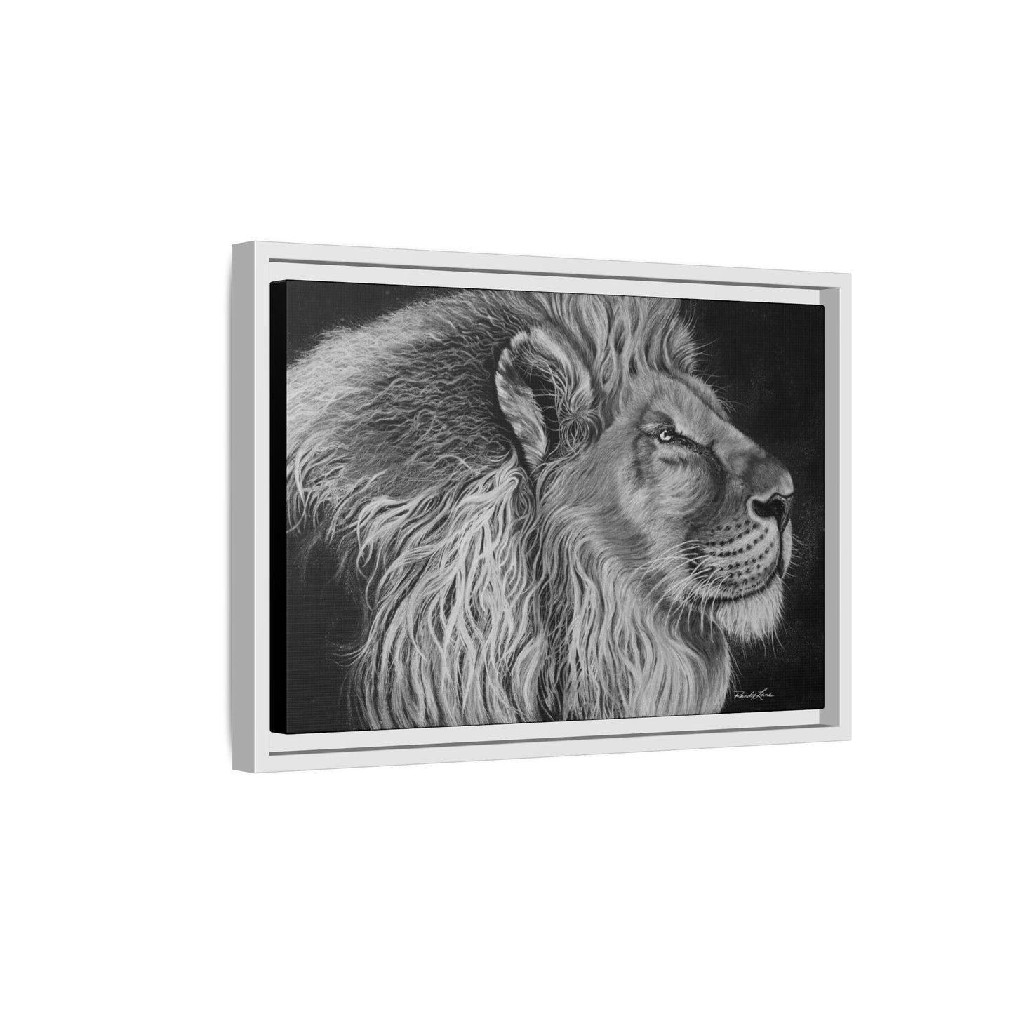 King of Cool, Majestic Lion Framed Canvas Art