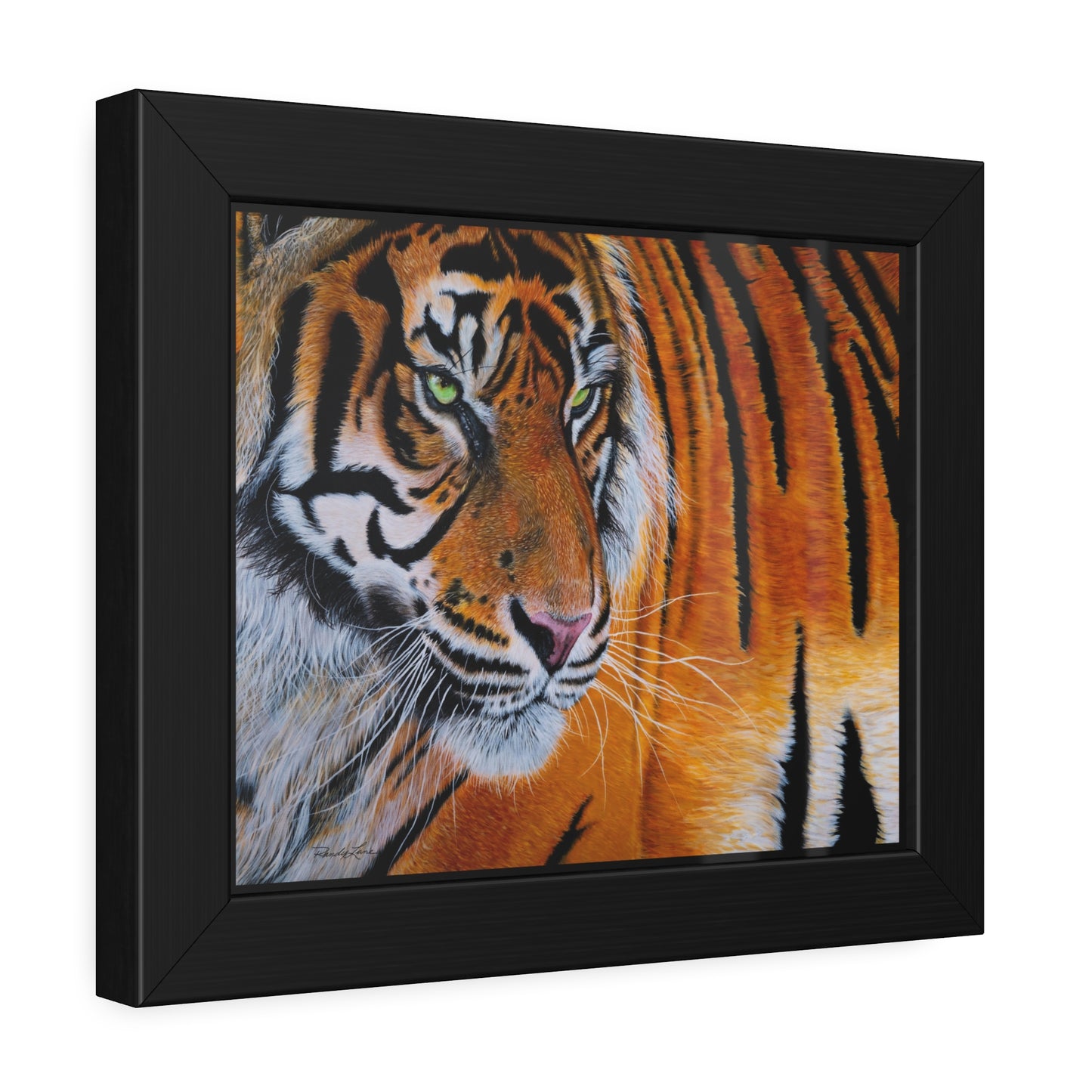 Tiger Stripe, Tiger Framed Art Print