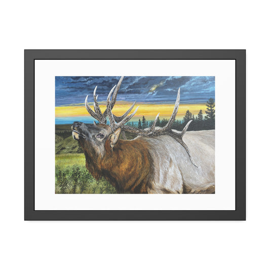 Sunset Serenade, Elk Framed Fine Art Print